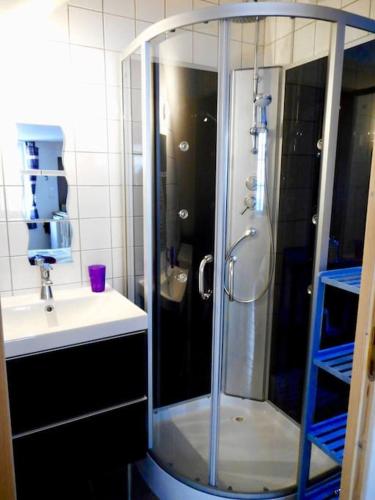 une salle de bain avec douche et lavabo dans l'établissement Studio cosy au cœur de la nature, à Gorze