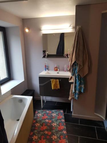 une salle de bain avec un lavabo, une baignoire et un miroir dans l'établissement Détente au bord de l'eau ., à Ciry-le-Noble