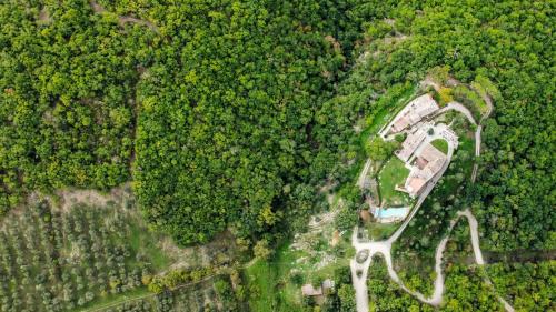 an overhead view of a house in a forest at Castello Di Tornano Wine Relais in Gaiole in Chianti