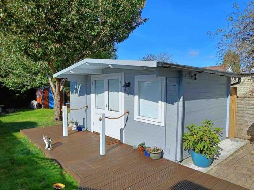 a blue shed with a porch and a cat on a deck at Private Lodge close to beaches and Goodwood in Felpham