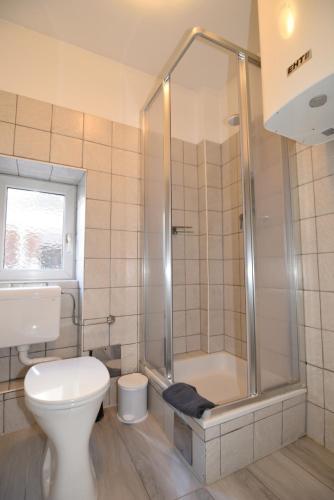 a bathroom with a shower and a toilet and a sink at PM CityAPART Lend in Graz