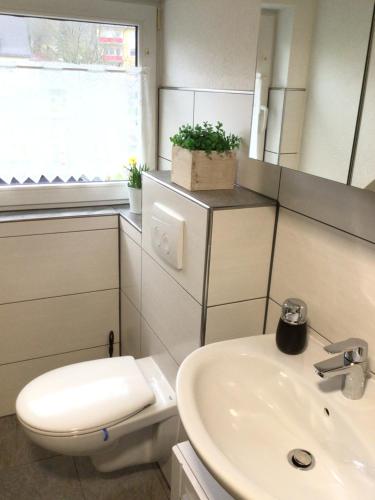 a bathroom with a toilet and a sink at connysferienwohnung in Bad Laasphe