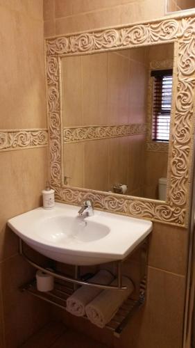 ein Bad mit einem Waschbecken und einem Spiegel in der Unterkunft VAAL RIVER GUEST HOUSE in Vanderbijlpark
