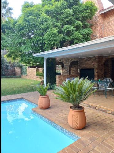a swimming pool with two potted plants next to a house at VAAL RIVER GUEST HOUSE in Vanderbijlpark