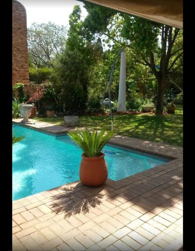 a potted plant sitting next to a swimming pool at VAAL RIVER GUEST HOUSE in Vanderbijlpark