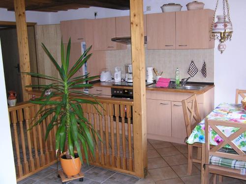 a kitchen with a plant in the middle of it at Ferienwohnung Vordermühle in Bad Schandau