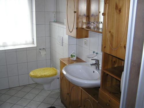 a bathroom with a sink and a toilet at Ferienwohnung Vordermühle in Bad Schandau