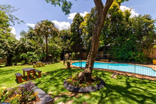 a garden with a tree and a swimming pool at Linden Guest House in Johannesburg