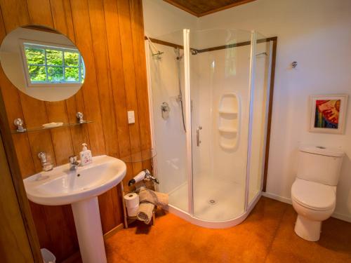 a bathroom with a shower and a sink and a toilet at Bay Cottage - Takaka Holiday Unit in Takaka