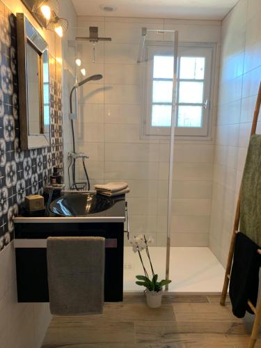 ein Bad mit einem Waschbecken und einer Dusche in der Unterkunft Le Ch’ti Breizh home in Cléguer