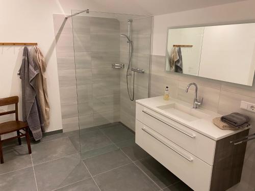 y baño con ducha, lavabo y espejo. en Ferienhof Norderfeld, en Jardelund
