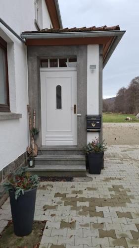 a white front door of a house with potted plants at Lindenwohnung an historischer Mühle in Holzhausen