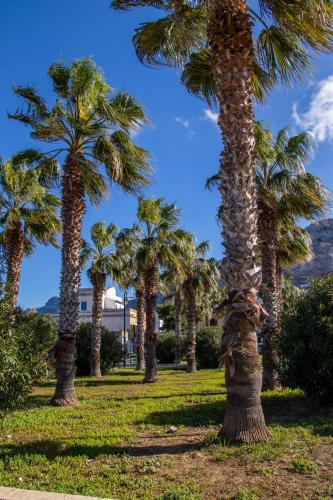 Κήπος έξω από το Ciuri Ciuri