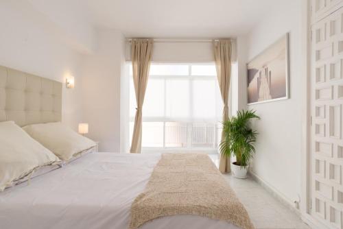 Bright beachfront apartment