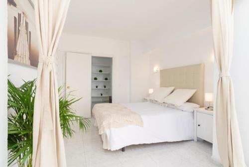 Bright beachfront apartment