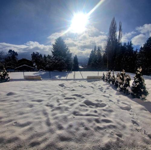 un campo cubierto de nieve con árboles de Navidad y el sol en studio entier 25m2 proche centre ville Font Romeu en Font Romeu Odeillo Via