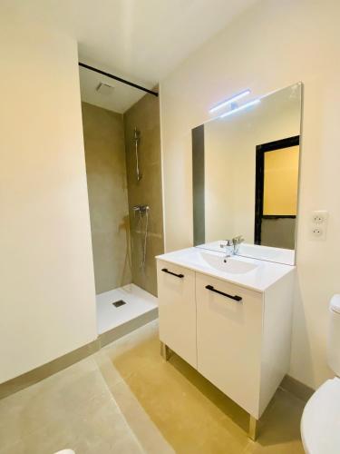 a bathroom with a sink and a toilet and a mirror at "Ribot" Coquet studio en coeur de ville avec wifi et clim in Sète