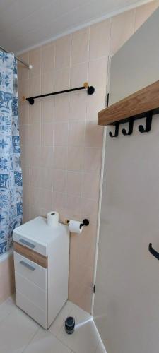 une petite salle de bain avec toilettes et douche dans l'établissement Casa Mar, studio 4P, vue mer, Sant'Ambroggio, Lumio, à Lumio