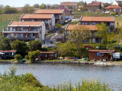a group of houses next to a body of water at Palava eu 7 in Pavlov