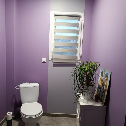 une salle de bains pourpre avec des toilettes et une fenêtre. dans l'établissement Maison pour location de chambre circuit 24H et GP, à Aigné