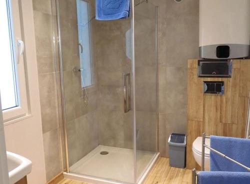 a shower with a glass door in a bathroom at Farma Jantar in Jantar