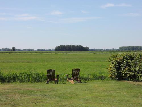 two chairs sitting in a field next to a table at Bed & Breakfast De Bodderie in Nieuwland