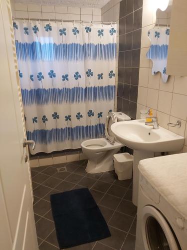 a bathroom with a toilet sink and a shower curtain at Stymfalia stone house 