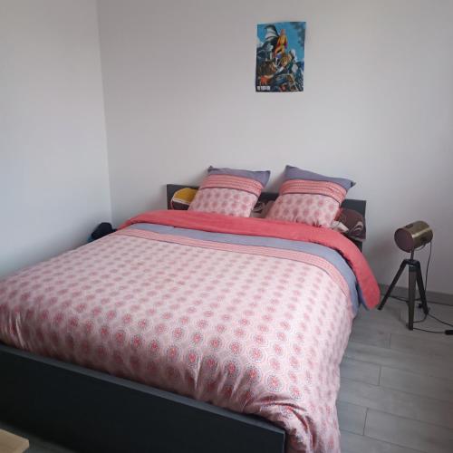 een slaapkamer met een bed met een roze dekbed en kussens bij Maison pour location de chambre 24H et GP in Aigné