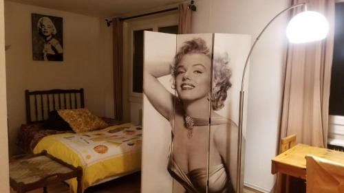 ein Bild einer Frau auf der Seite eines Kühlschranks in der Unterkunft La CAMPAGNE A LA VILLE in Dijon