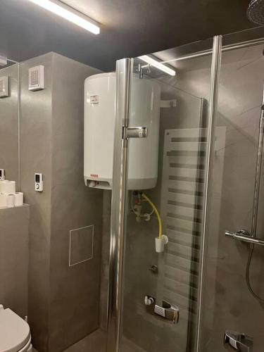a bathroom with a shower and a toilet at Palava eu 8 in Pavlov