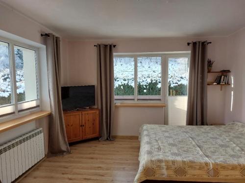 a bedroom with a bed and two windows and a television at Kosciuszko Apartment in Muszyna