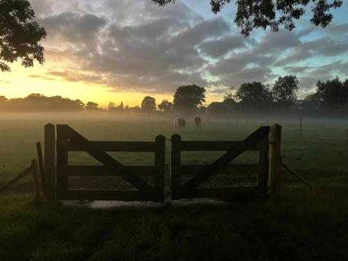 a wooden gate in a field with sheep in the distance at Tiny Seven in Otterlo