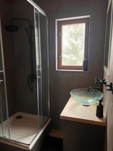 a bathroom with a glass sink and a shower at Chata Monika in Frymburk