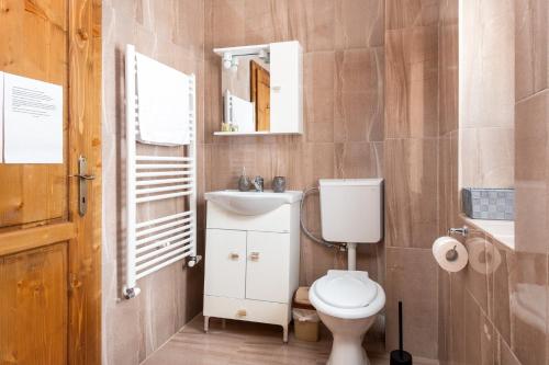 a bathroom with a toilet and a sink and a mirror at Pensiunea Cascada in Nemesi