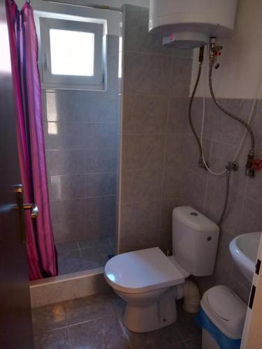 a bathroom with a toilet and a shower and a sink at Apartman Lotus -obnovená in Veľký Meder