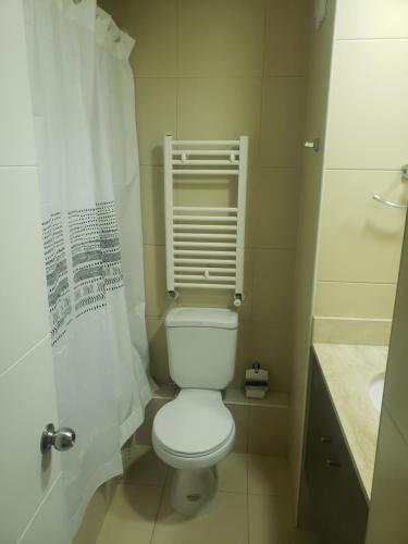 康塞普西翁的住宿－Parque urbano，浴室配有白色卫生间和淋浴。