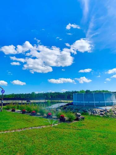 a field with flowers and a blue sky at Mazurski dom Brejdyny Sauna i Bania in Mrągowo