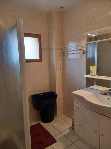 une salle de bain avec toilettes, lavabo et douche dans l'établissement Aux 4 mousquetaires Athos, à Capvern