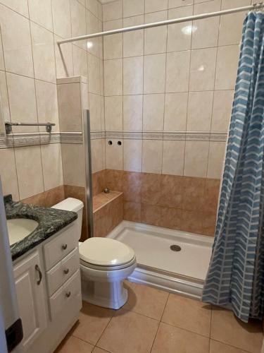 ein Bad mit einem WC, einem Waschbecken und einer Dusche in der Unterkunft Apartments Lozina on the Beach in Omiš
