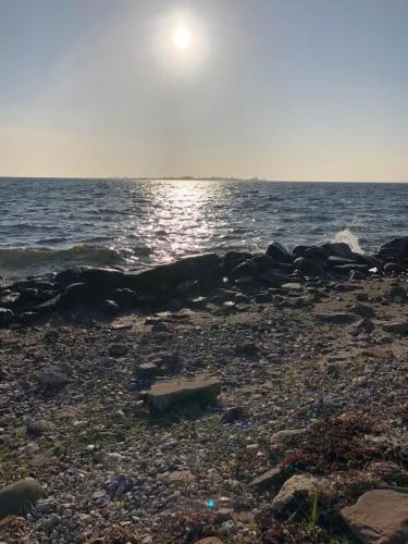 Lejlighed på Tåsinge picture