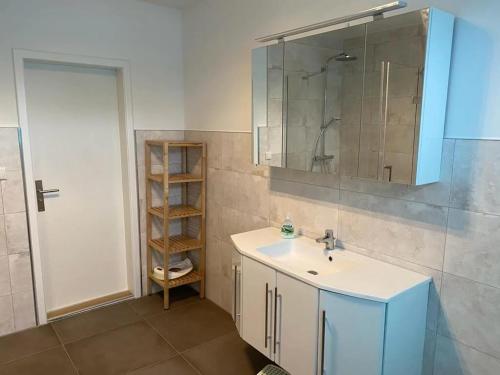 a bathroom with a sink and a mirror and a shower at Villa Strandräuber in Zudar