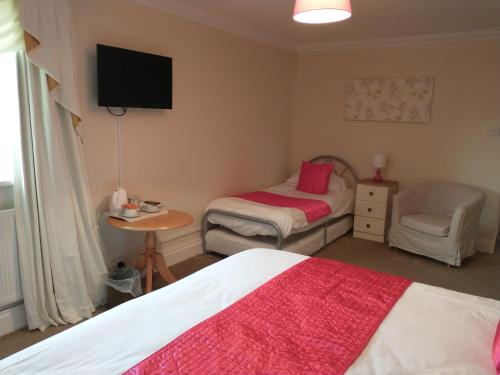 a bedroom with two beds and a tv and a chair at Llanina Arms in Llanarth