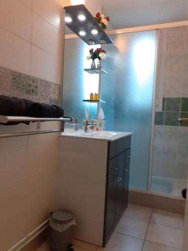 Grand appartement – Photos 2