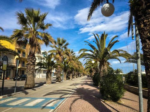 une rue bordée de palmiers et d'un éclairage de rue dans l'établissement B&B Villa Tina, à SantʼOmero