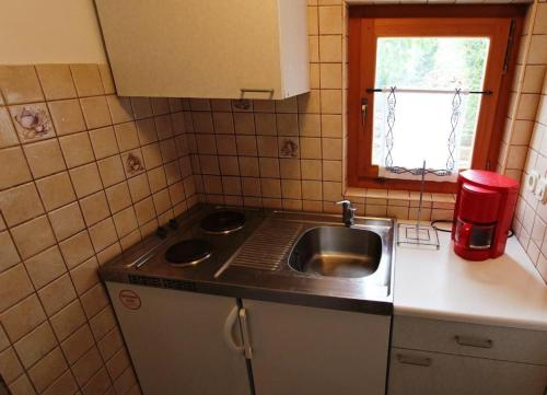 a small kitchen with a sink and a window at Apartmani Purić in Malinska