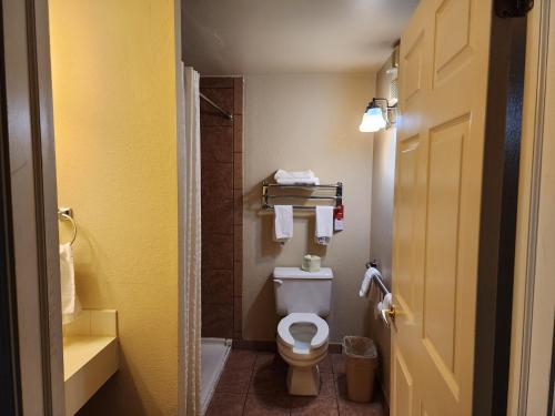 a small bathroom with a toilet and a shower at Econo Lodge & Suites Grand Rapids Airport in Cascade