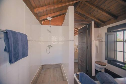 uma casa de banho com um chuveiro e um WC. em Casita Palmera, Country Home, Haria, Lanzarote em Haría
