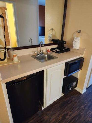 a kitchen with a sink and a microwave at Econo Lodge & Suites in Cascade