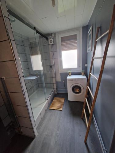 La salle de bains est pourvue d'une douche et d'un lave-linge. dans l'établissement Au cœur du champagne logement privatif (70 m2), à Épernay