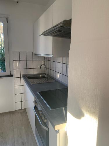 a kitchen with a sink and a counter top at Apartament Blumenblick in Rielasingen-Worblingen